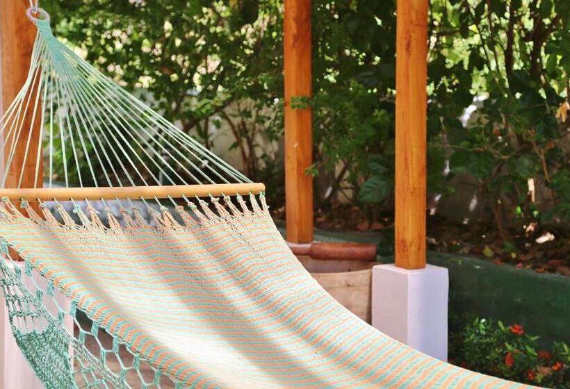 四人标准间, Casa Guardia Panama