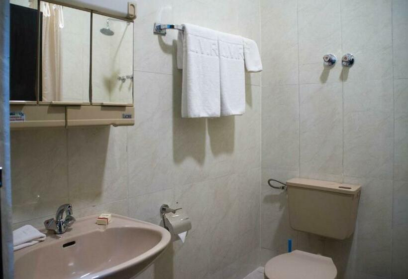 اتاق لوکس, Lake View Resort