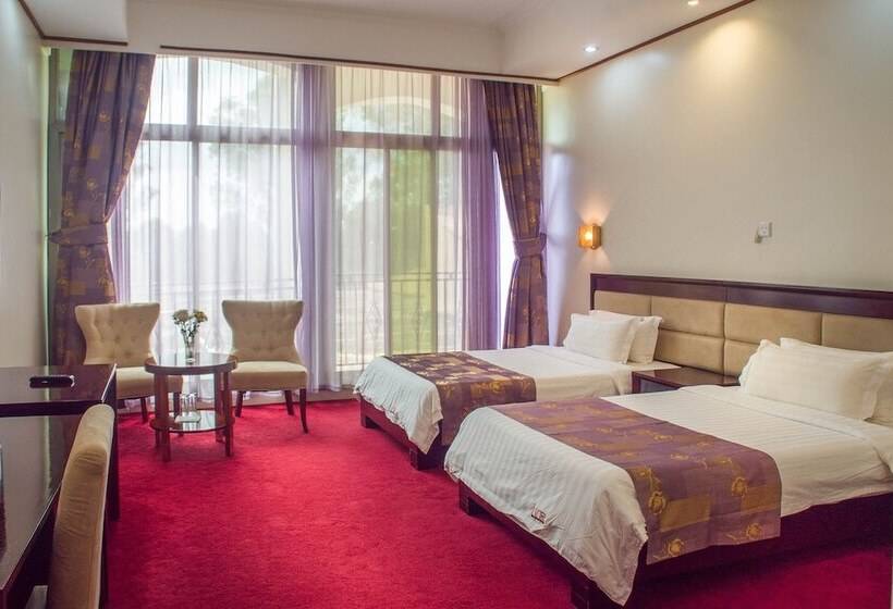 اتاق سوپریور, Lake View Resort