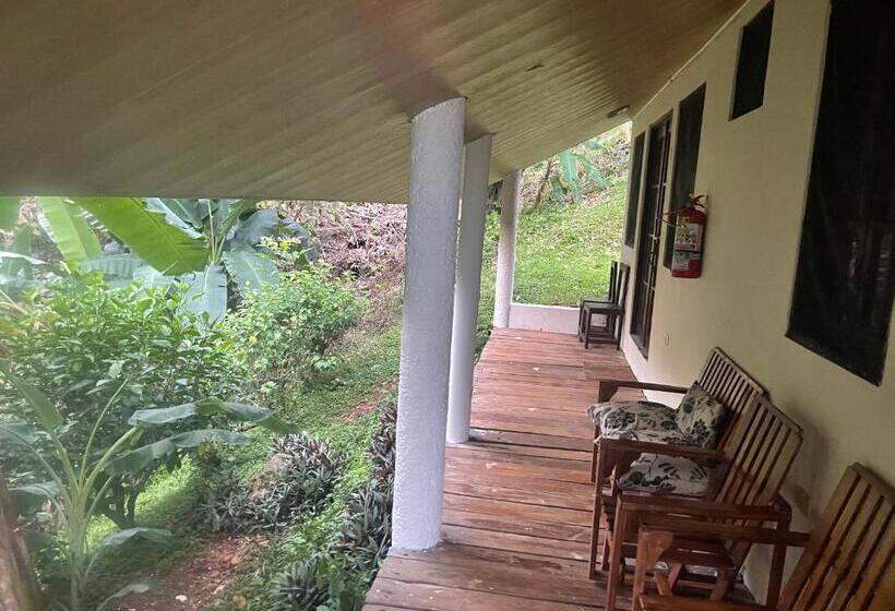 4인용 스탠다드 룸, Sol Y Mar