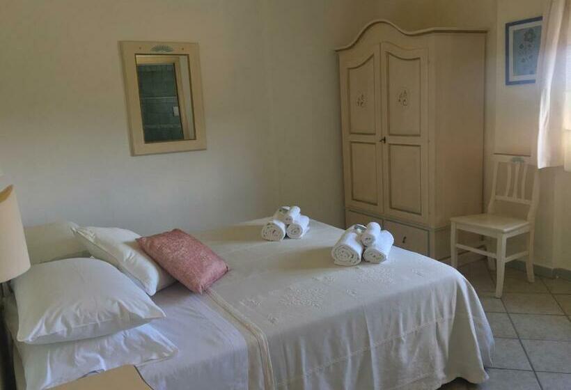 Номер Стандарт, Sorgente