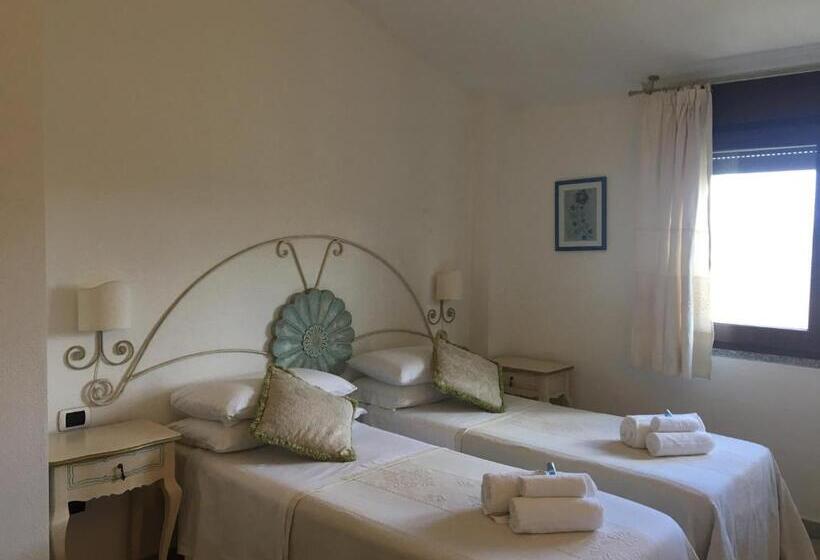 スタンダードルーム, Sorgente