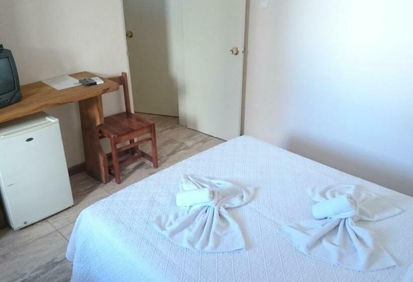 스탠다드 룸, Viola