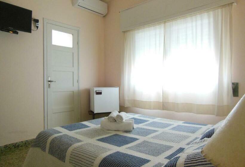 스탠다드 룸, Viola