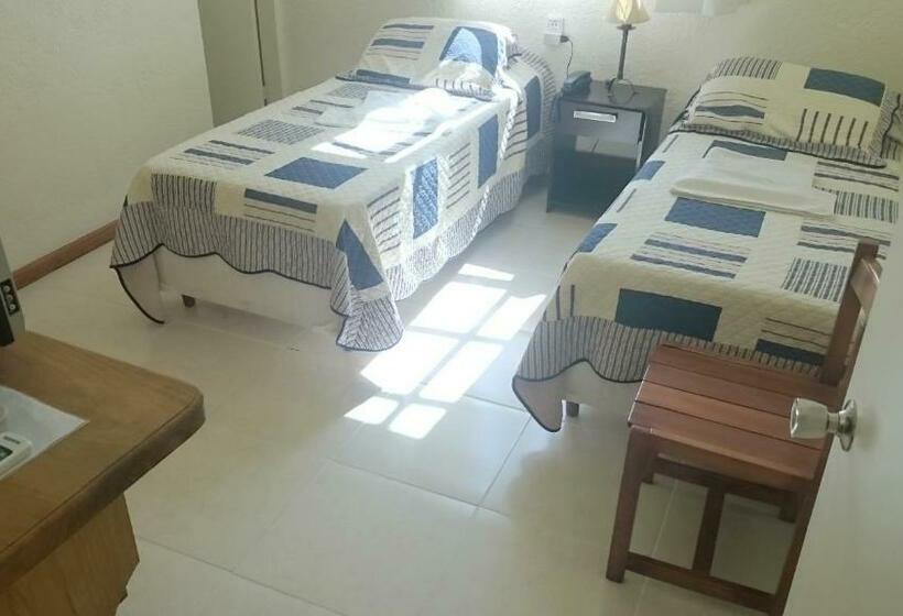 스탠다드 룸, Viola