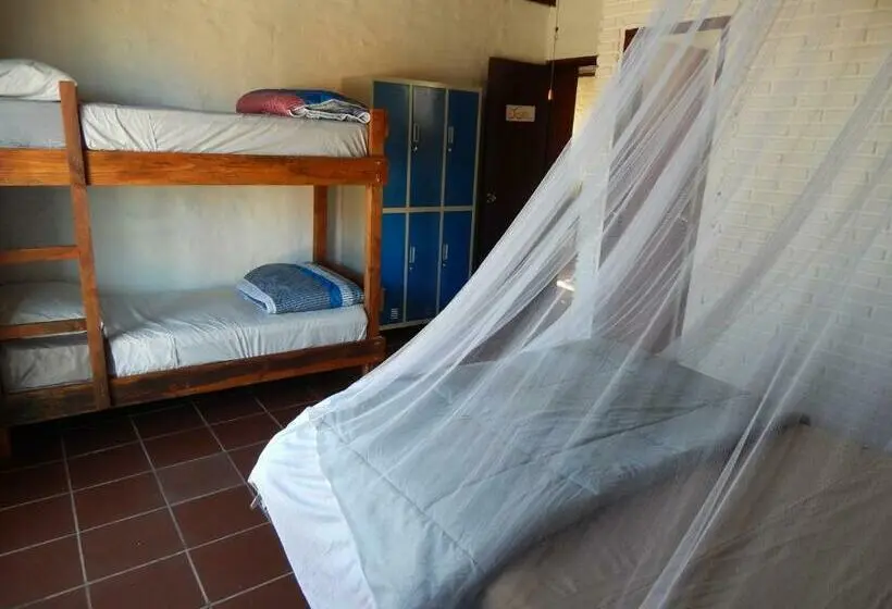 اتاق خانوادگی, Piedra Alta Hostel & Suites