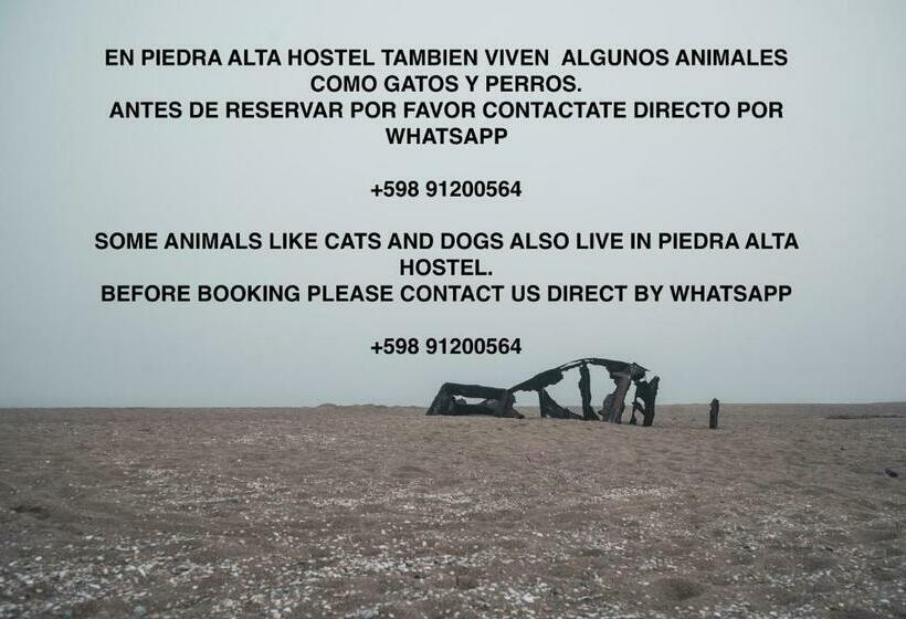 패밀리 룸, Piedra Alta Hostel & Suites