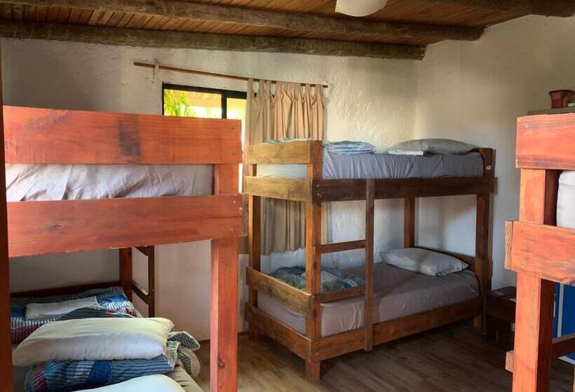 Кровать в Общей Комнате, Piedra Alta Hostel & Suites