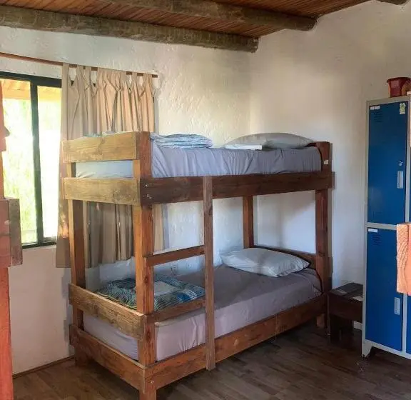 تختخواب در اتاق مشترک, Piedra Alta Hostel & Suites