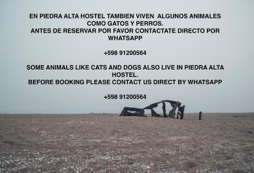 공동 객실, Piedra Alta Hostel & Suites