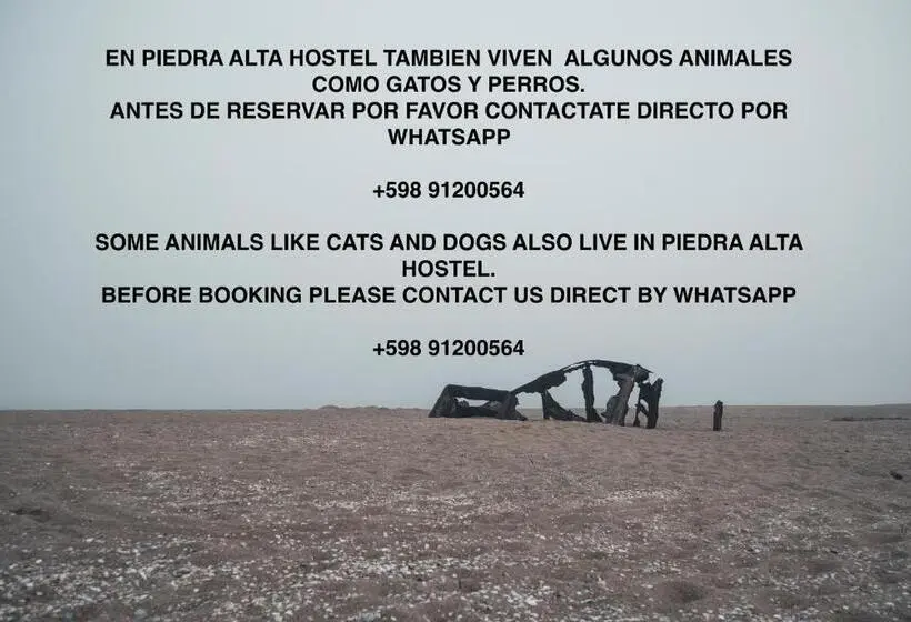 تختخواب در اتاق مشترک, Piedra Alta Hostel & Suites
