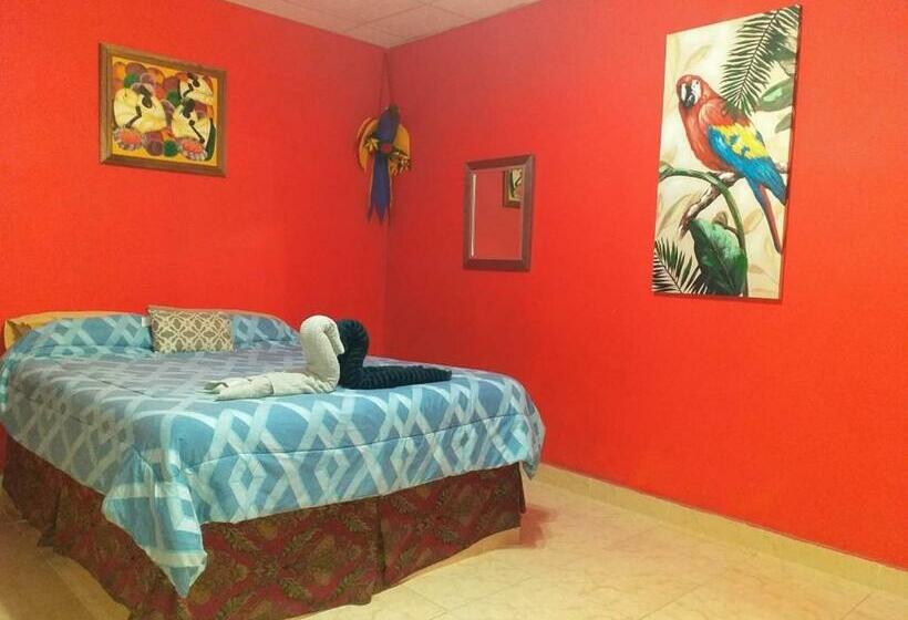 家庭间, Windmill Hostal