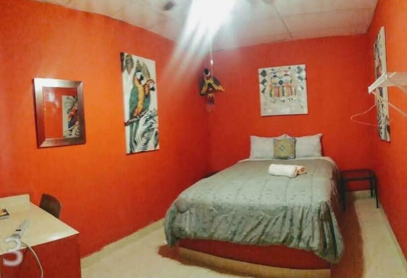 标准间, Windmill Hostal