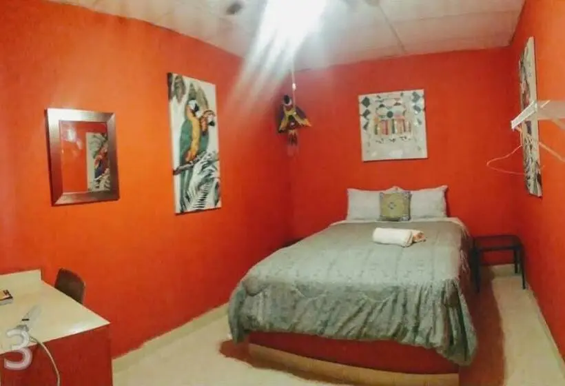 スタンダードルーム, Windmill Hostal