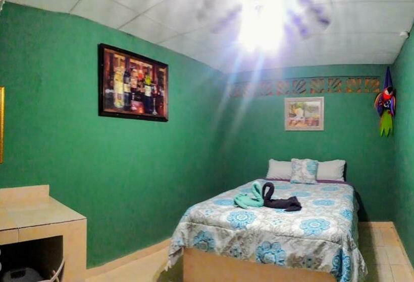 标准间, Windmill Hostal