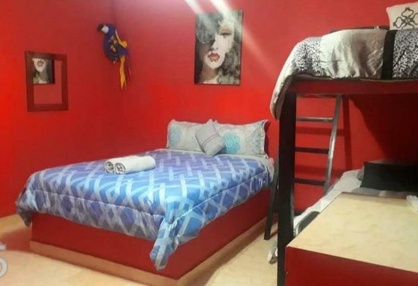 家庭间, Windmill Hostal