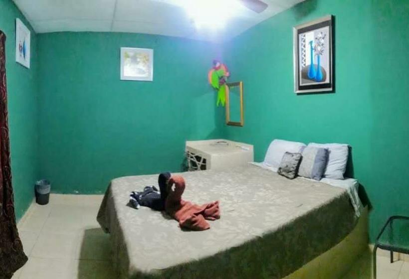 标准间, Windmill Hostal