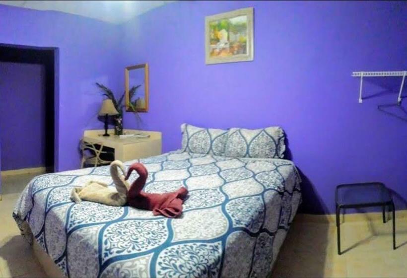 标准间, Windmill Hostal