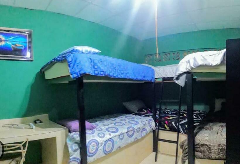 标准间, Windmill Hostal