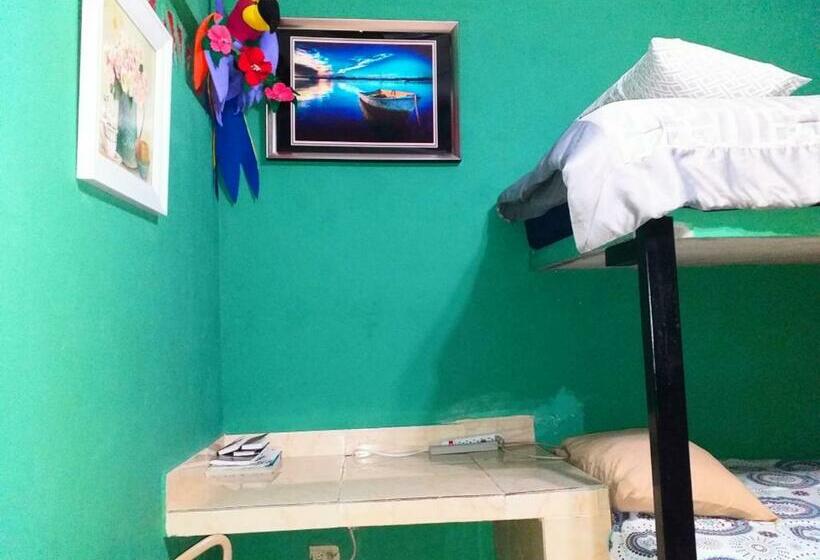 标准间, Windmill Hostal