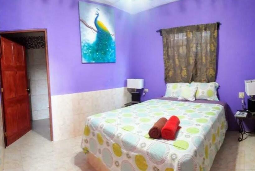 标准工作室, Windmill Hostal