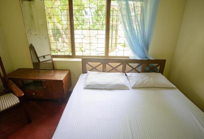 اتاق اکونومی, Paradise Galle