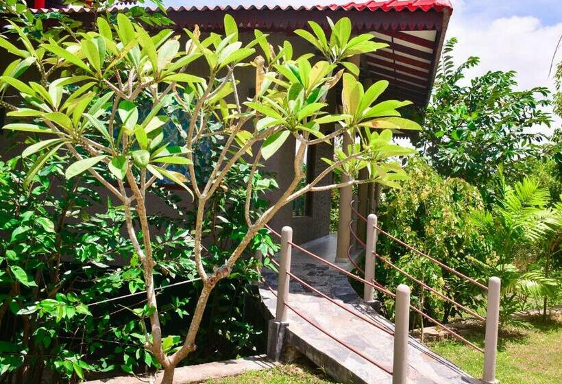 Шале Superior 1 Спальня, Mass Eco Cabana Yoga & Spa   Unawatuna