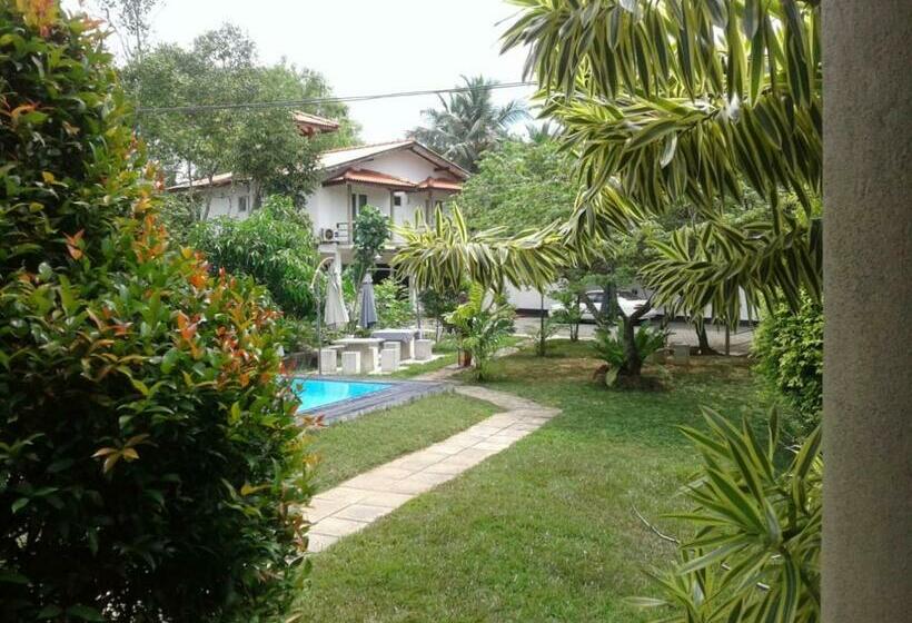 Шале Superior 1 Спальня, Mass Eco Cabana Yoga & Spa   Unawatuna