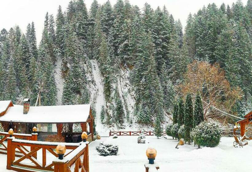 اتاق استاندارد, Forest House