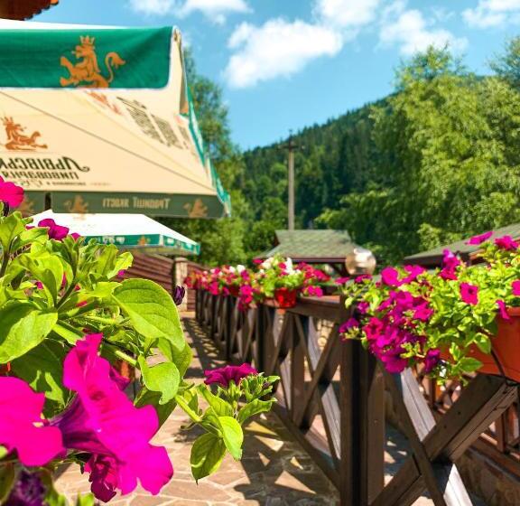 سوییت, Forest House