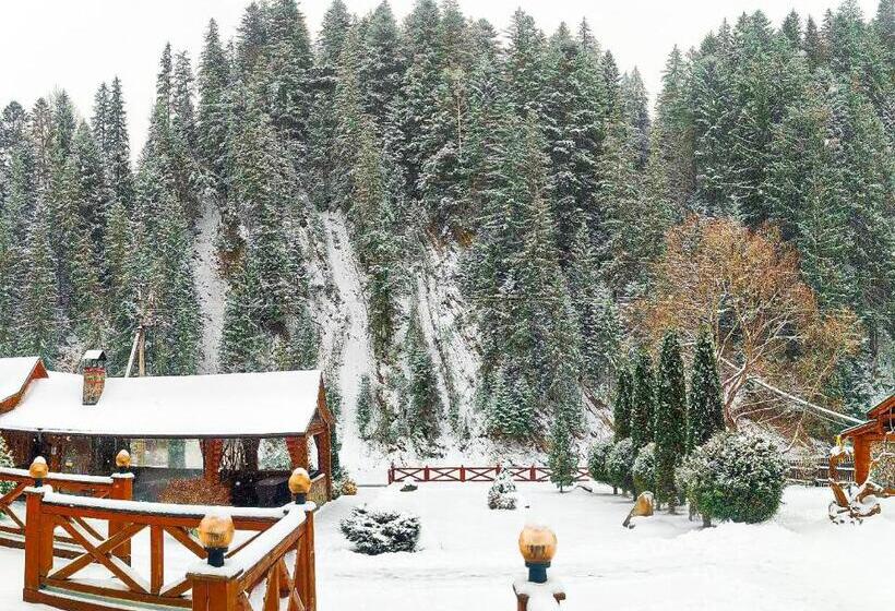 سوییت, Forest House