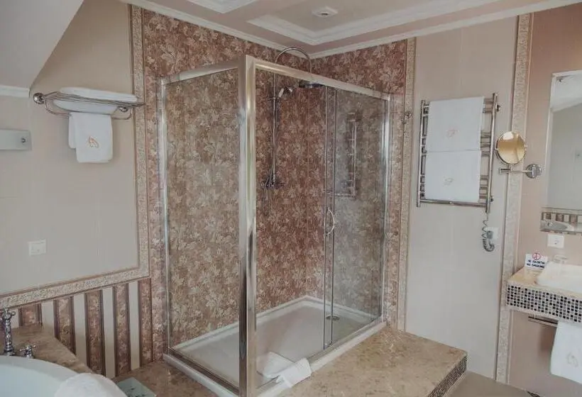 Apartament 1 Dormitor Deluxe, France
