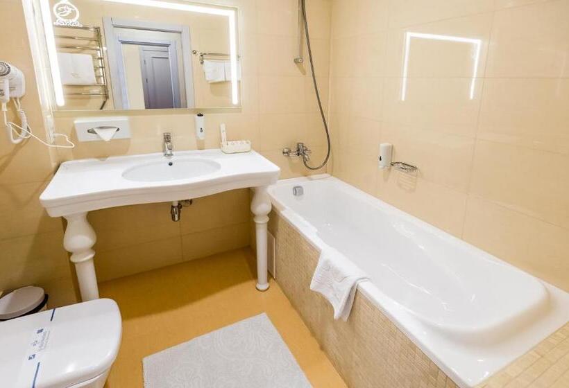 اتاق استاندارد, France