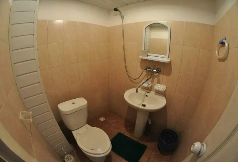 Standard Yhden Hengen Huone, Tourist Poltava