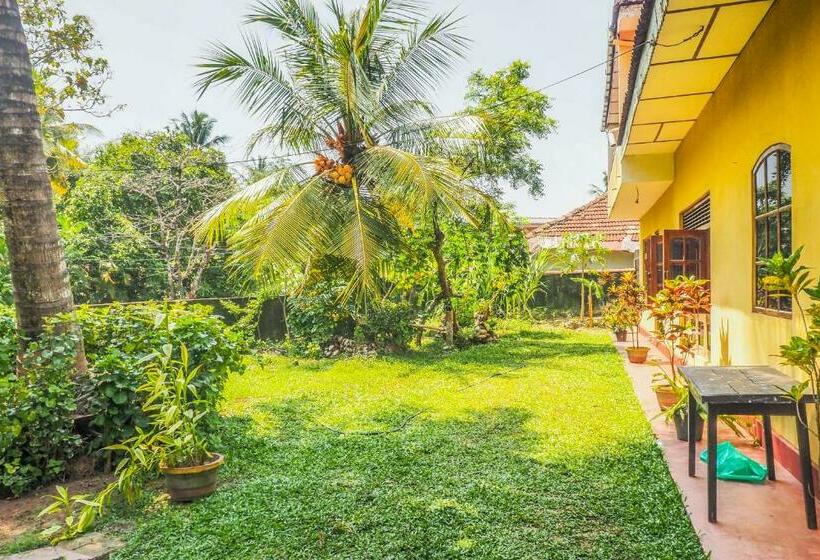 اتاق استاندارد, Paradise Galle