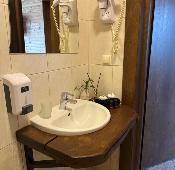 חדר סטנדרט, Stara Pravda Hotel   History