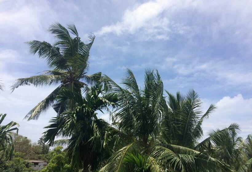 اتاق استاندارد, H&c Heaven Beach