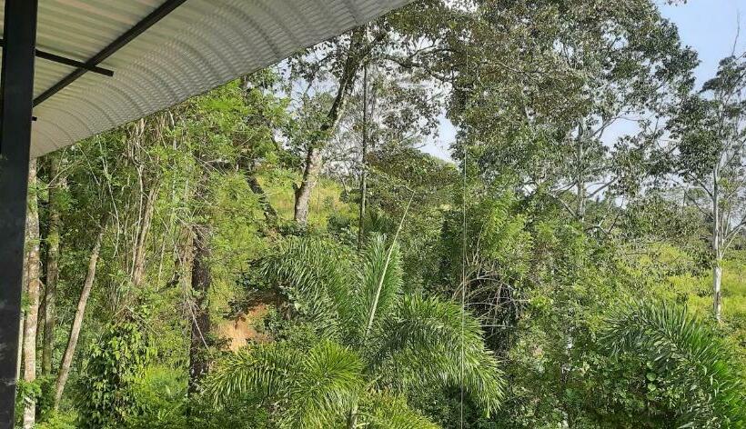 스탠다드 발코니 룸, Sun Top Inn