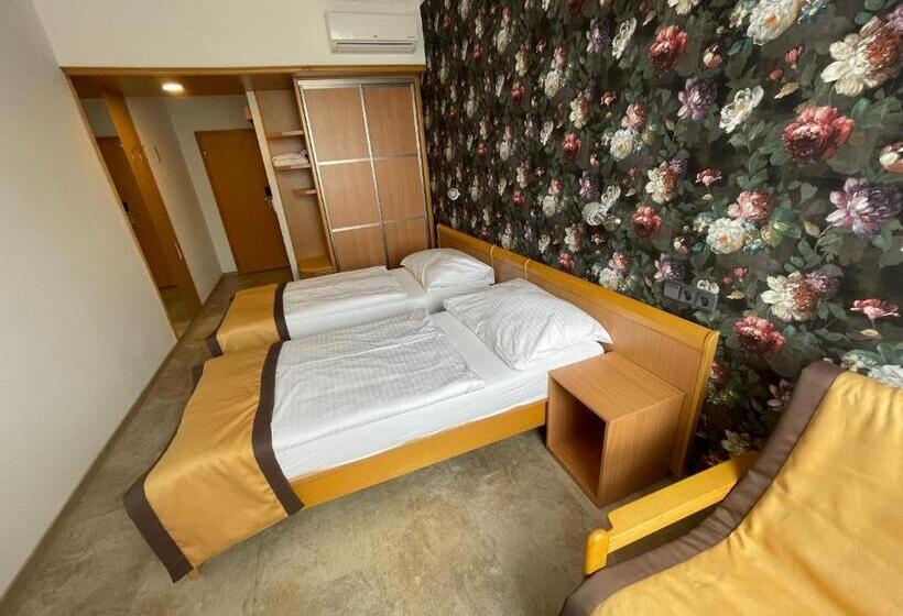 Номер Стандарт, Akademie A Depandance Vila Jarmila