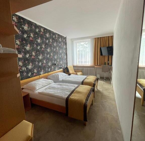 标准间, Akademie A Depandance Vila Jarmila