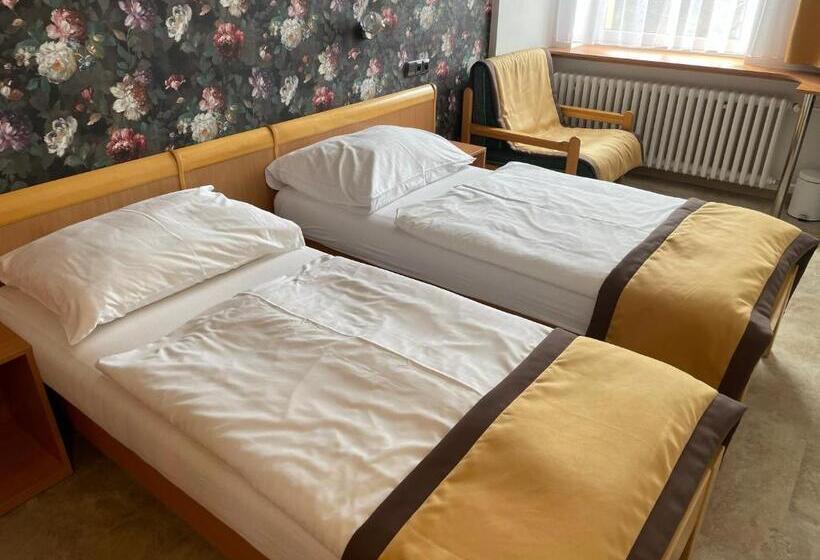 标准间, Akademie A Depandance Vila Jarmila