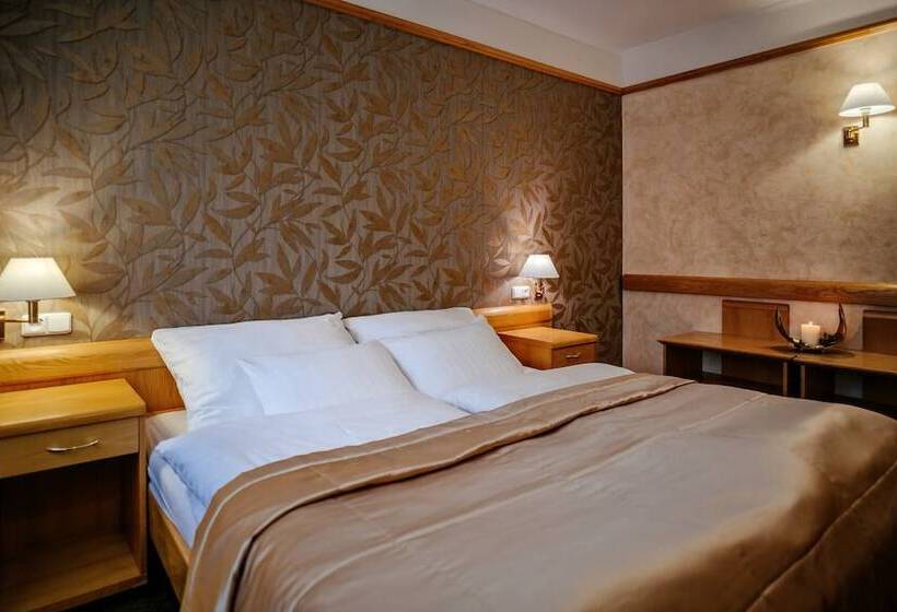 小型套房, Akademie A Depandance Vila Jarmila