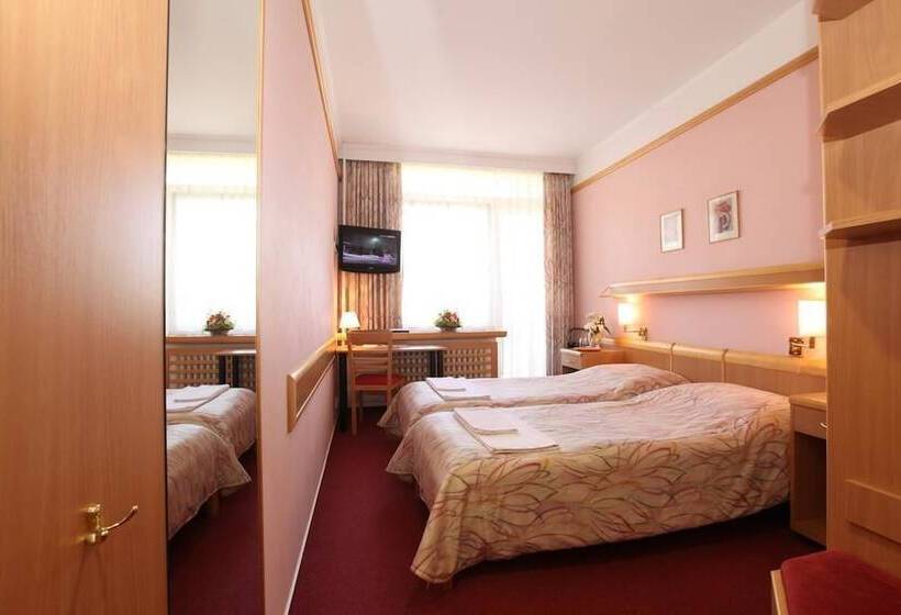 标准间, Akademie A Depandance Vila Jarmila