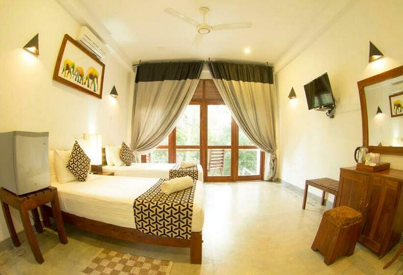 חדר דלוקס, Athgira