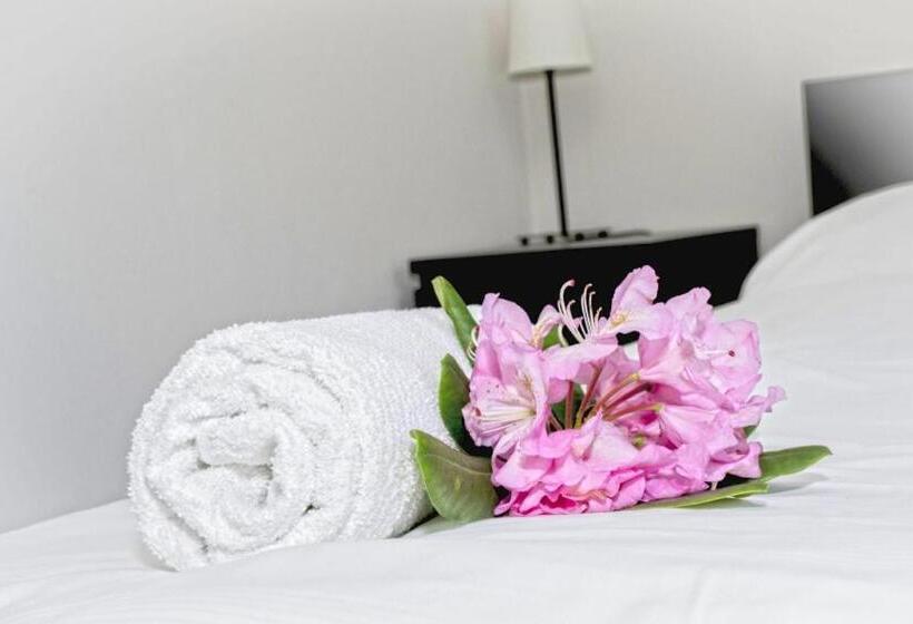 スタンダードルーム, širák