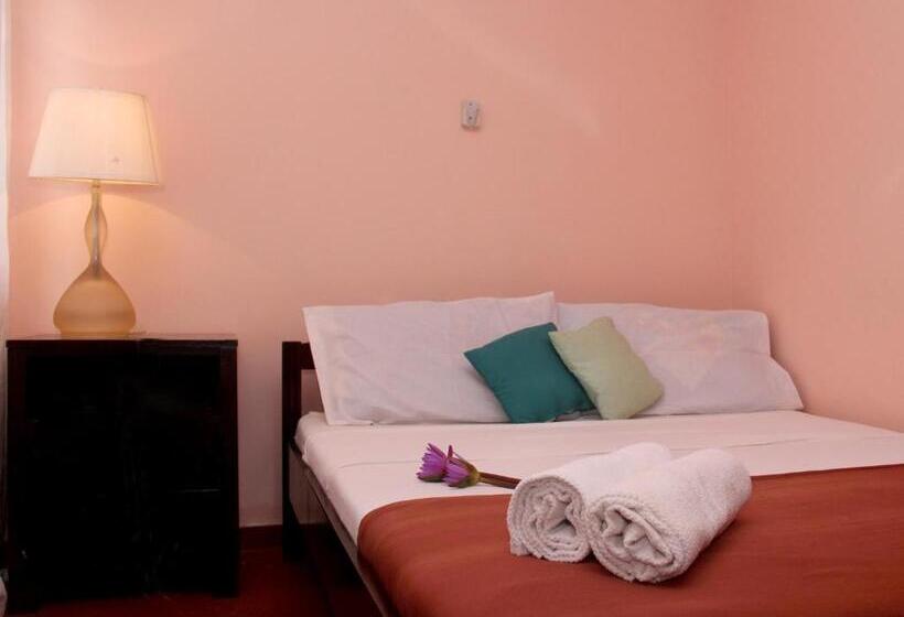 스탠다드 룸 가든 전망, Marina Resort