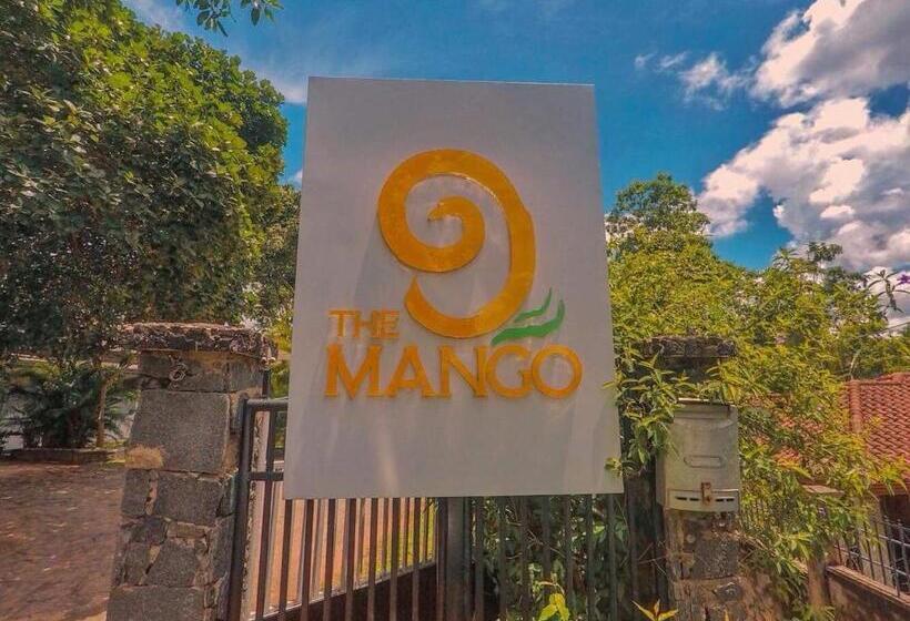 Cameră Superioară, The Mango