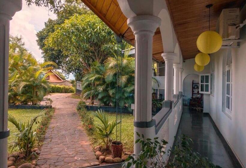 Cameră Superioară, The Mango