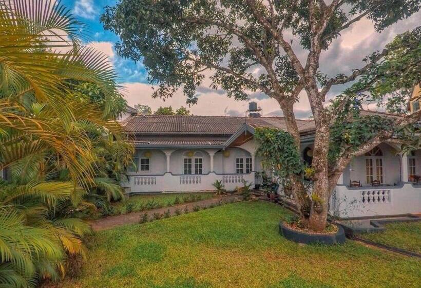 Cameră Superioară, The Mango