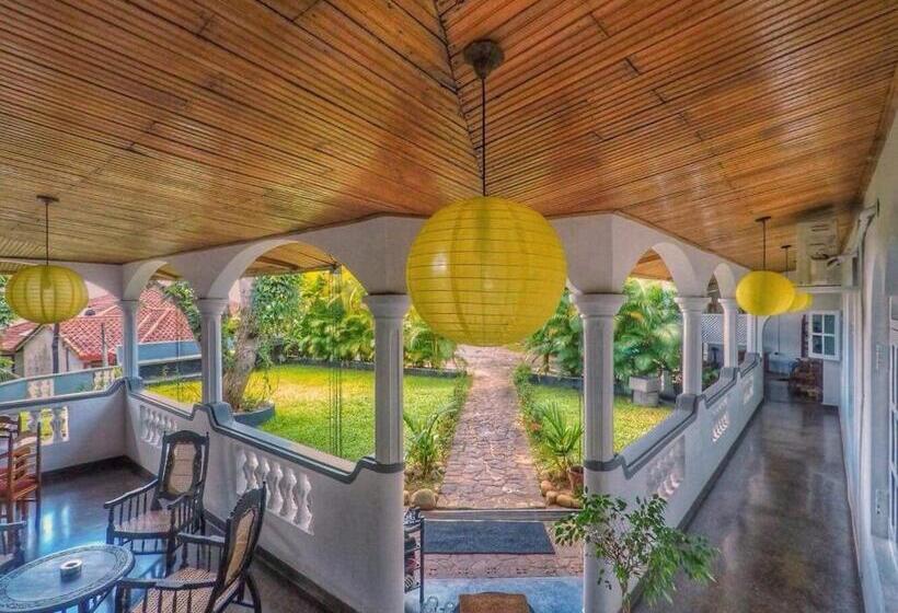 Cameră Superioară, The Mango